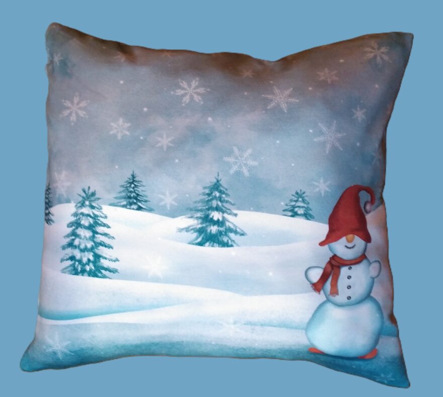 Kaisupadi lumememmega.