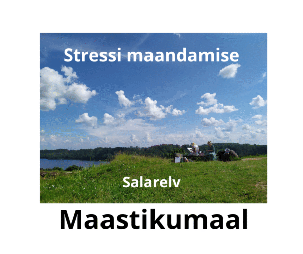 Maastikumaali kursus